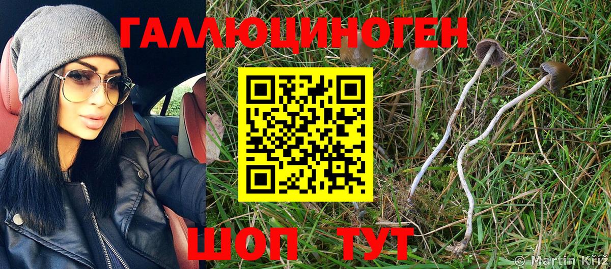 Галлюциногенные грибы Magic Shrooms  Галлюциногенные грибы Cubensis  Донской  Вход с VPN 
